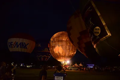 DSC_2417 (Large).JPG